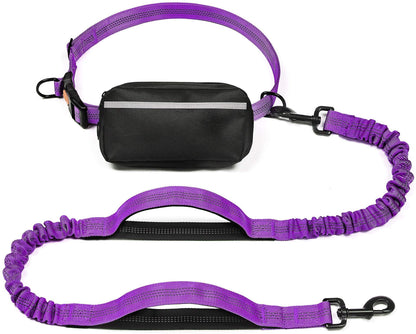 Multifunctional Reflective Dog Walking Waist Leash