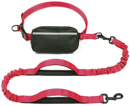 Multifunctional Reflective Dog Walking Waist Leash