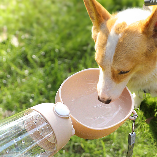 SipFlow™ Smart Bottle