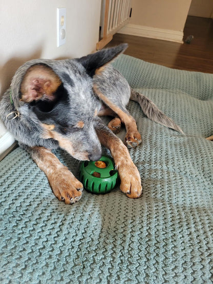 Slow Feeder Treat Ball.